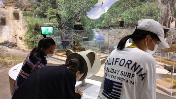 【石垣島修学旅行3日目　西表島】野生生物保護センターを見学