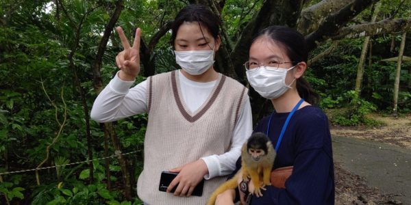 【石垣島修学旅行3日目　やいま村】サルは何かを探しているようです
