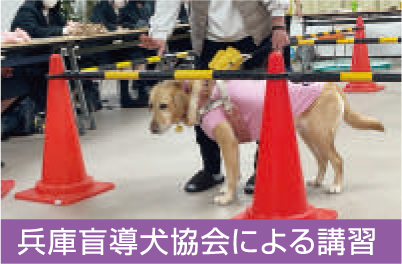 盲導犬協会