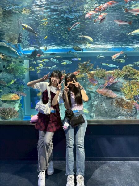 【修学旅行2日目】DMMかりゆし水族館