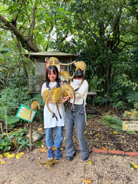 【修学旅行3日目】やいま村