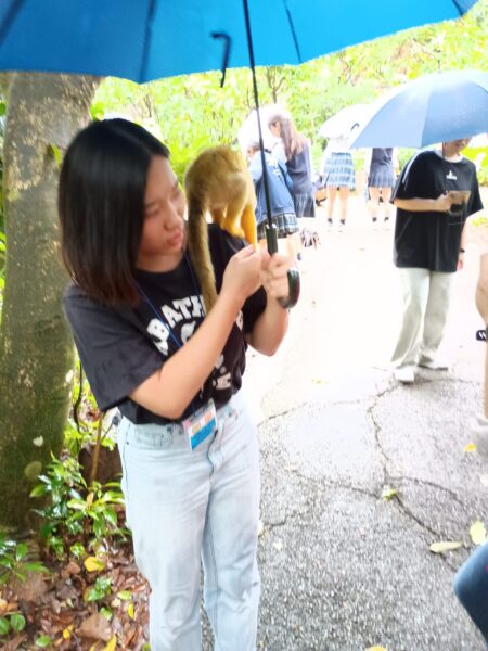 【修学旅行3日目】やいま村