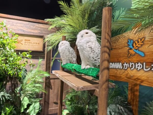 【修学旅行2日目】DMMかりゆし水族館