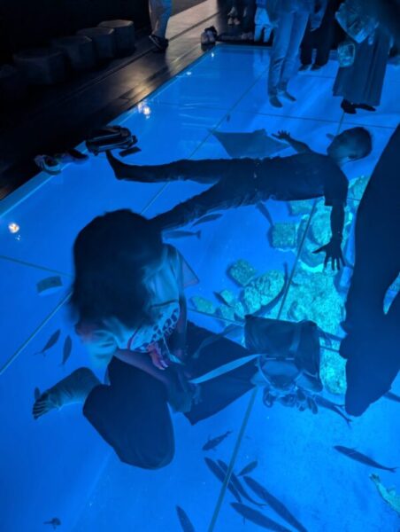 【修学旅行2日目】DMMかりゆし水族館