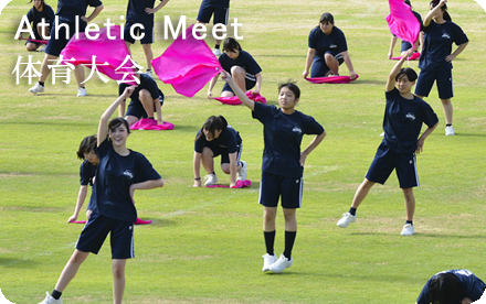 体育大会