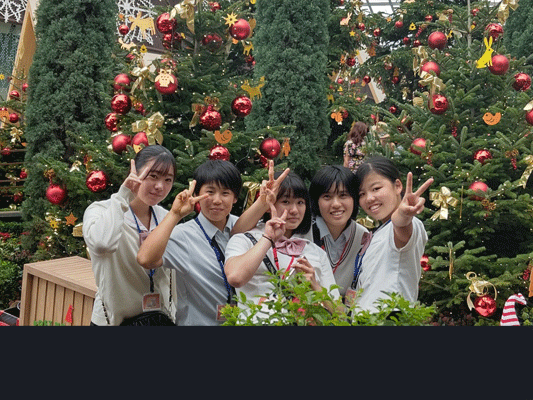 【シンガポール修学旅行3日目ガーデンズバイザベイ】館内はもうクリスマスモードです。